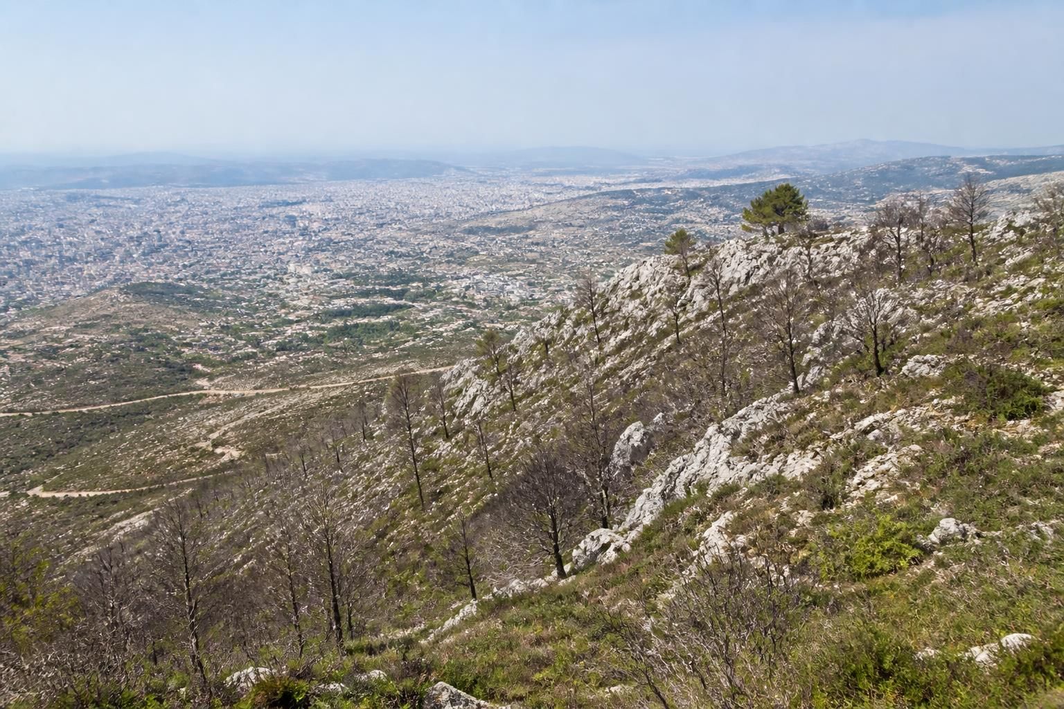 découvrez les traces laissées par l'incendie de carpiagne sur le mont saint-cyr, quinze ans après, et comment la nature et les habitants ont surmonté cette épreuve.